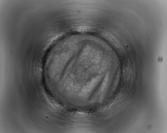X0000098000592200804071220