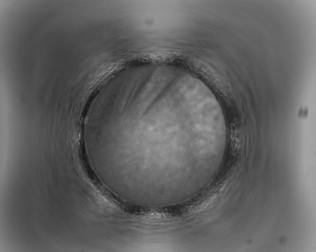 X0000098000593200804071220