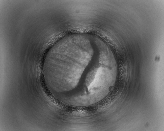 X0000098000594200804071220