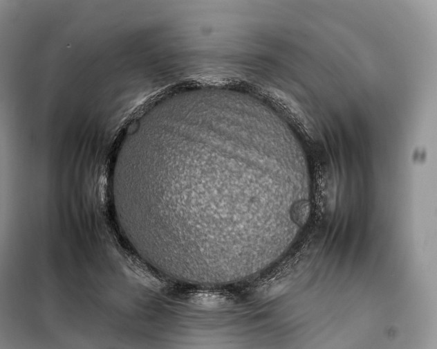X0000098000596200804071220