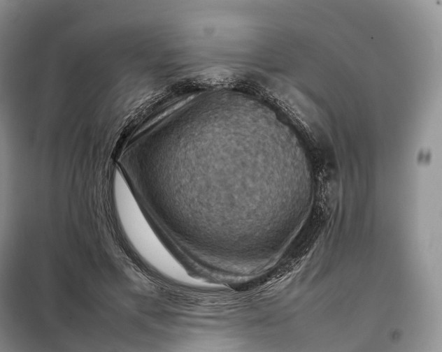 X0000098000597200804071220