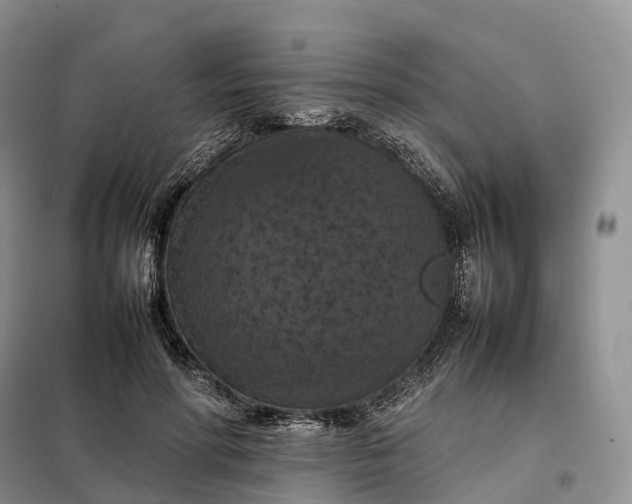 X0000098000598200804071220