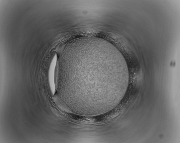 X0000098000599200804071220