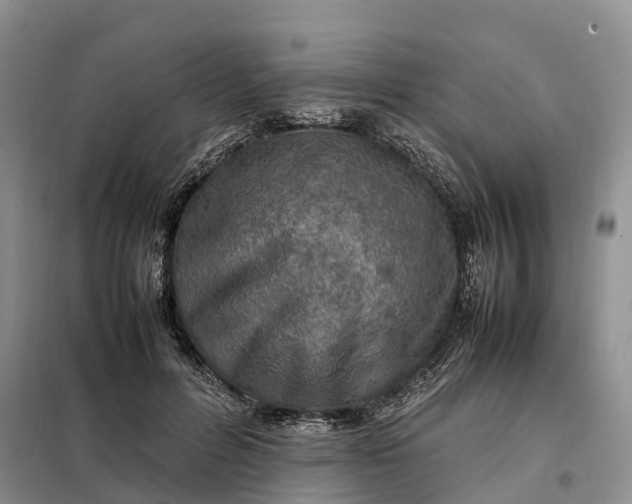X0000098000600200804071220