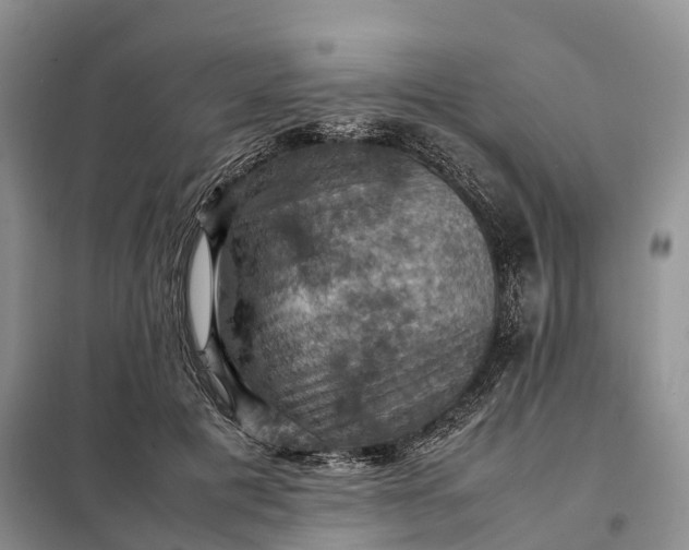 X0000098000601200804071220