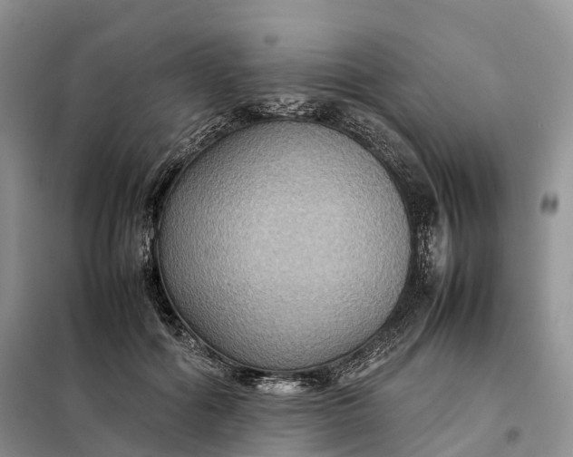 X0000098000602200804071220
