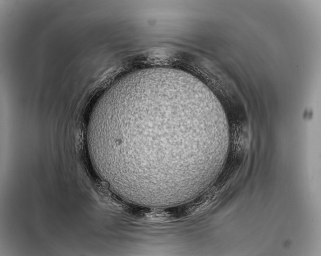 X0000098000603200804071220