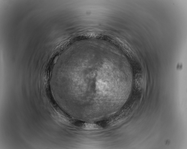 X0000098000605200804071220