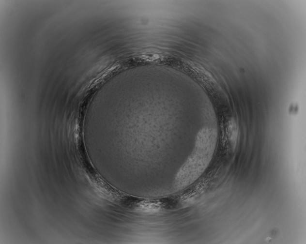 X0000098000606200804071220