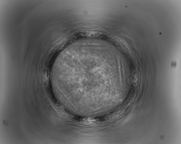 X0000098000607200804071220