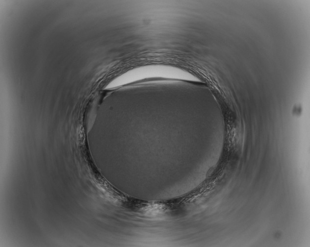 X0000098000609200804071220