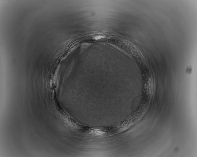 X0000098000610200804071220