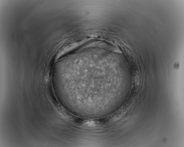 X0000098000611200804071220