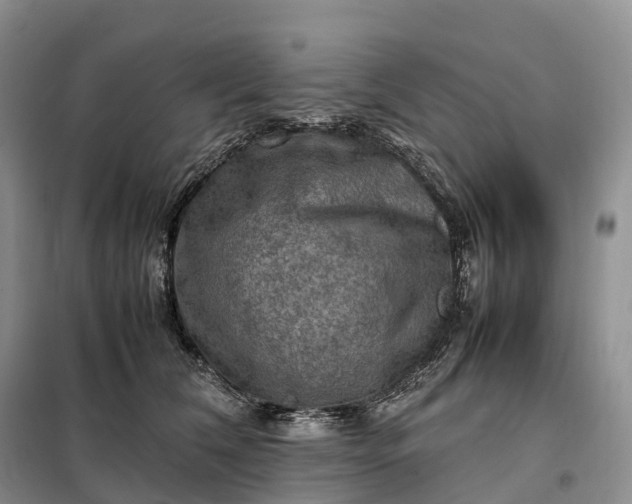 X0000098000612200804071220