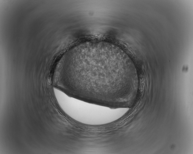 X0000098000613200804071220