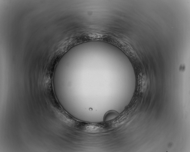 X0000098000614200804071220