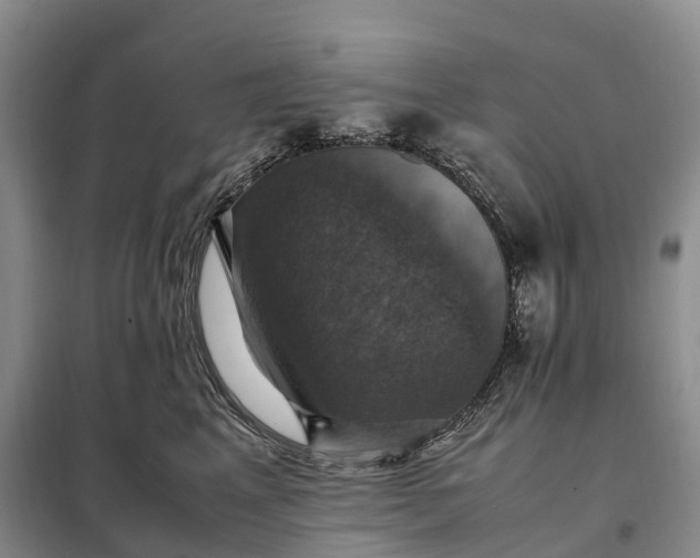 X0000098000617200804071219