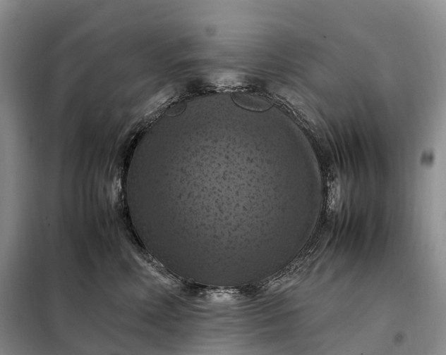 X0000098000618200804071219