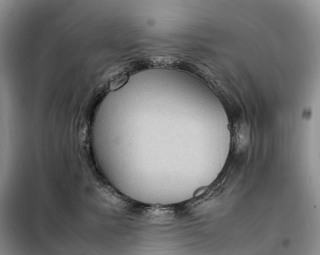 X0000098000619200804071219