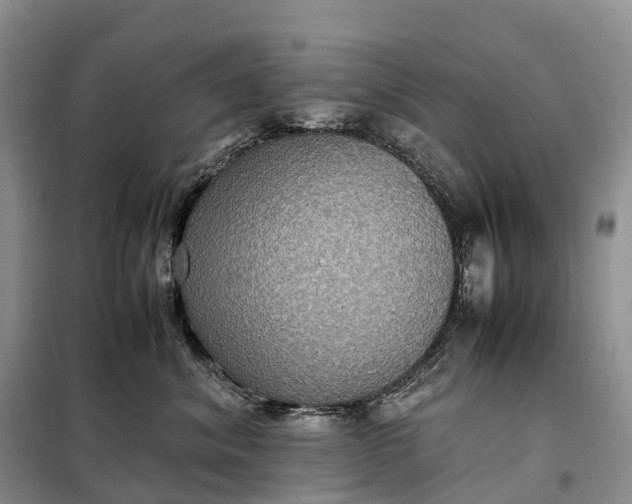 X0000098000620200804071219