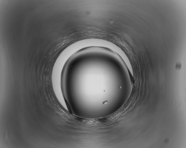 X0000098000621200804071219