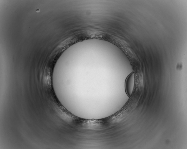 X0000098000622200804071219
