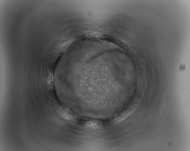 X0000098000624200804071219