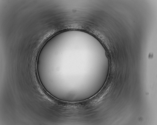 X0000098000625200804071219