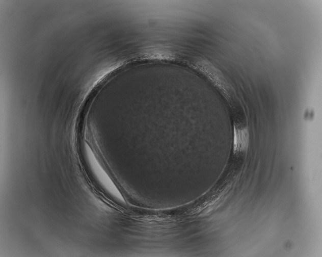 X0000098000627200804071219