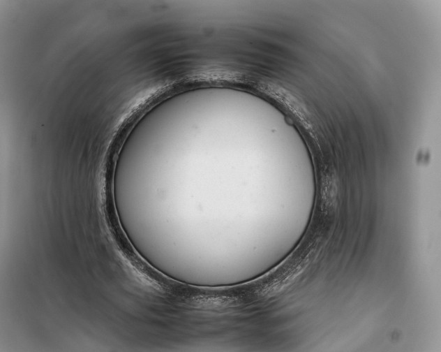 X0000098000629200804071219