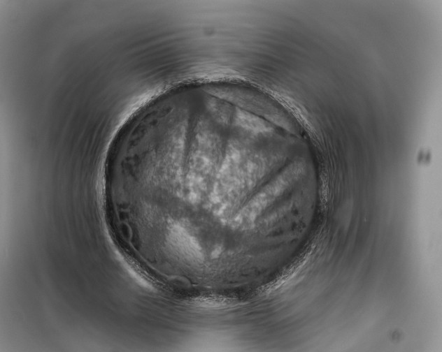 X0000098000630200804071219