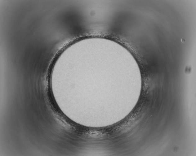 X0000098000632200804071219