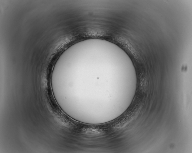 X0000098000635200804071219
