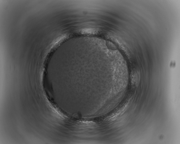 X0000098000637200804071219