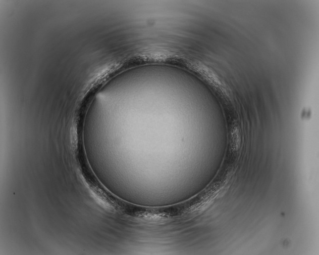 X0000098000638200804071219