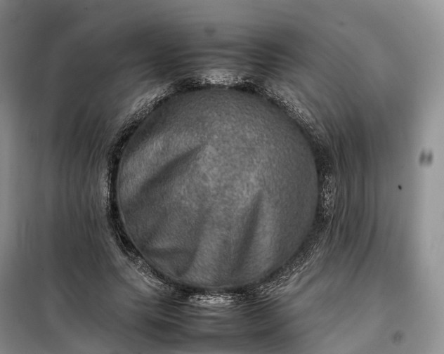 X0000098000639200804071219