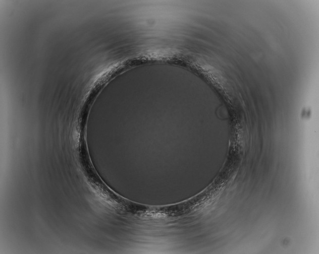X0000098000640200804071219