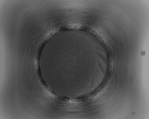 X0000098000641200804071219