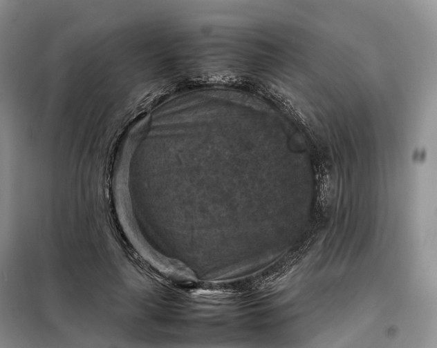 X0000098000643200804071219