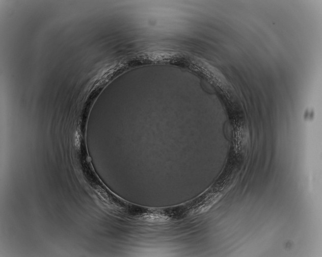 X0000098000644200804071219