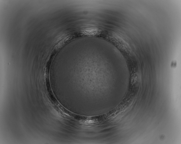 X0000098000647200804071219