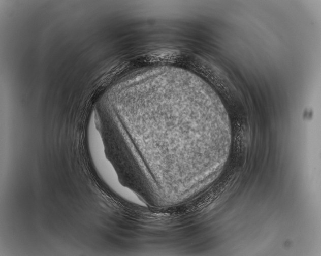 X0000098000649200804071219