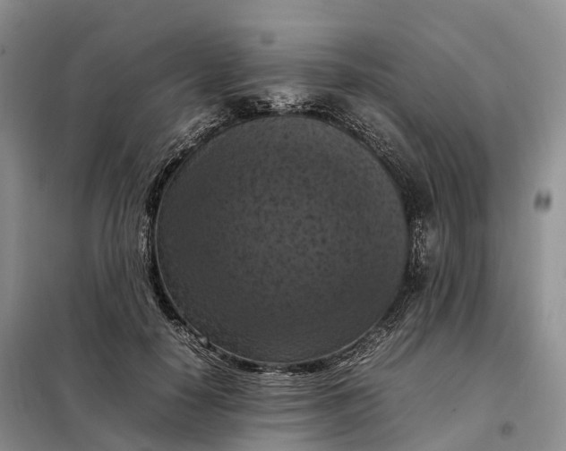 X0000098000650200804071219