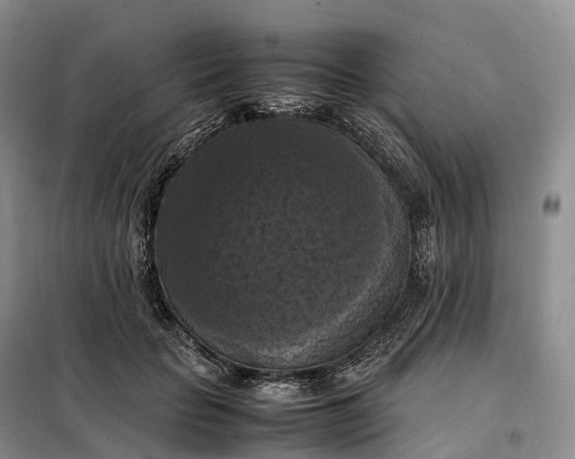X0000098000653200804071219