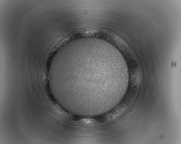 X0000098000654200804071219