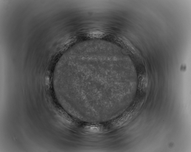 X0000098000655200804071219