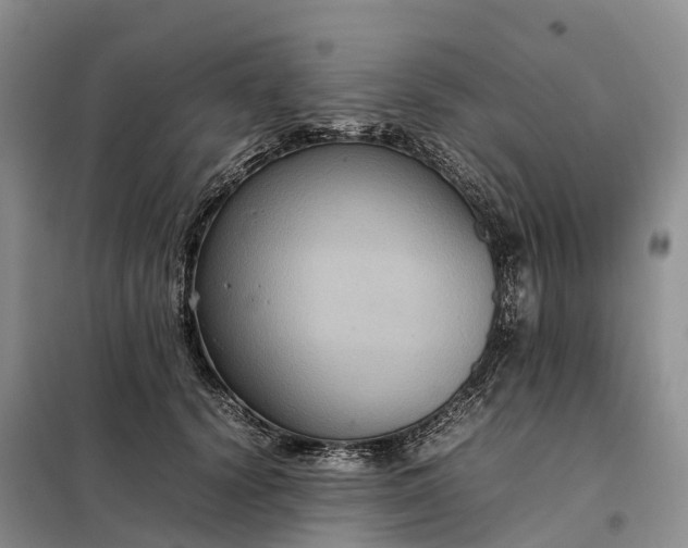 X0000098000656200804071219