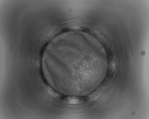 X0000098000658200804071219