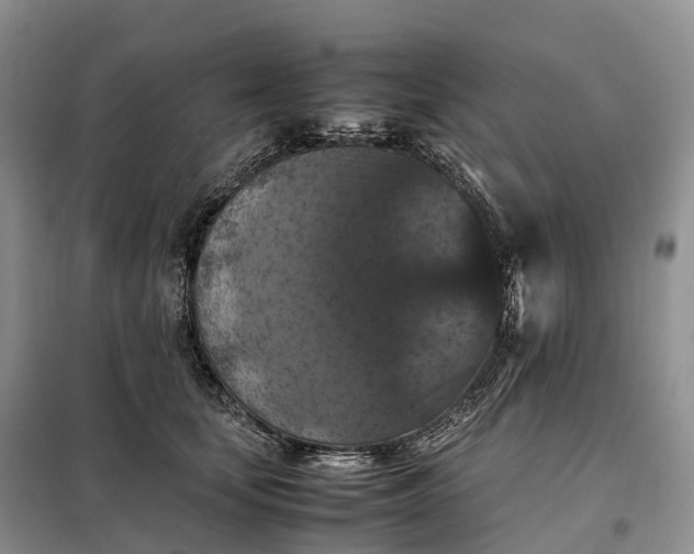 X0000098000659200804071219