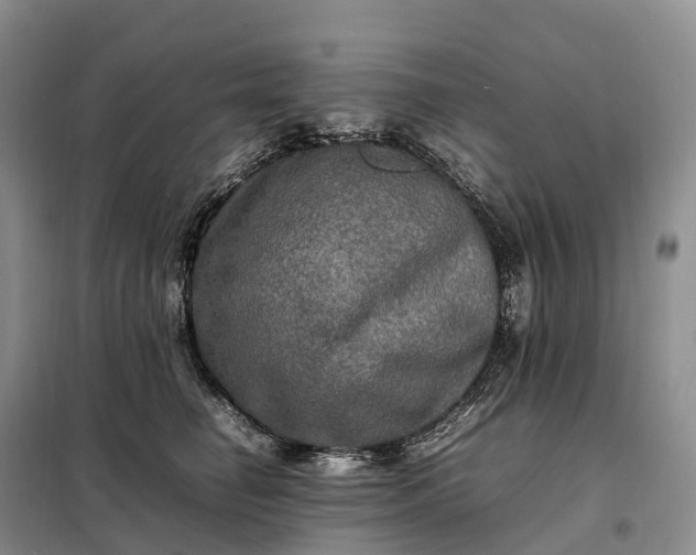 X0000098000662200804071219